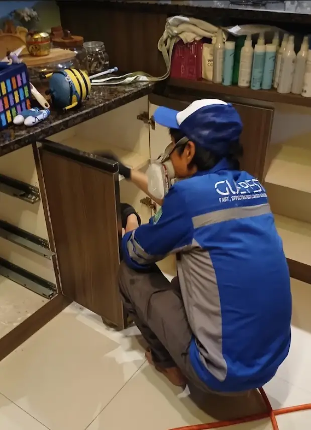 jasa anti rayap murah di jakarta