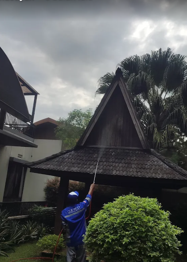 jasa anti rayap di bogor jasa anti rayap di bogor