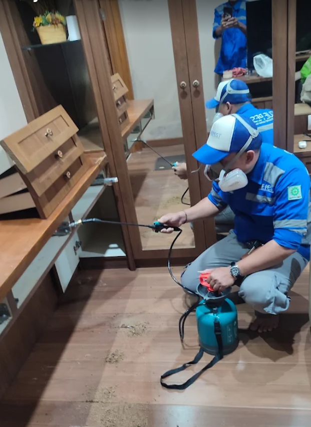 jasa pest control jasa pest control