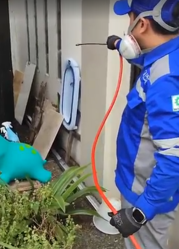 jasa anti rayap murah di depok jasa anti rayap murah di depok