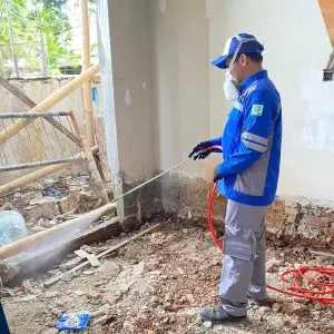 Jasa Pembasmi Rayap di Jakarta anti rayap