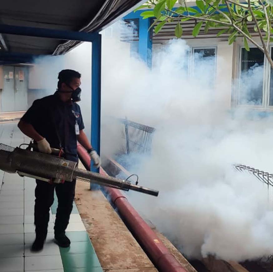 Spesialis Jasa Anti nyamuk di Jakarta