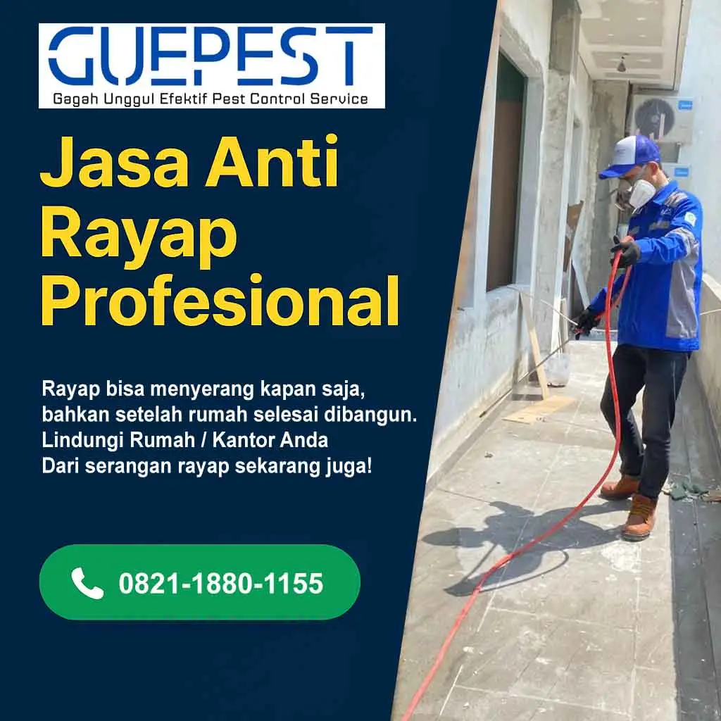 jasa anti rayap jakarta
