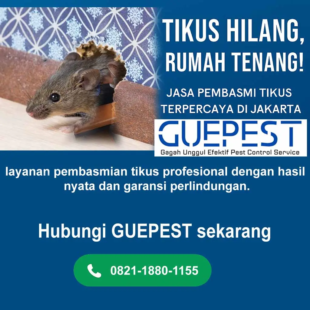 jasa pembasmi tikus jakarta